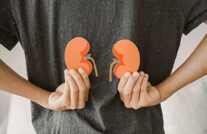 腎臟發炎飲食禁忌 腎臟發炎飲食禁忌