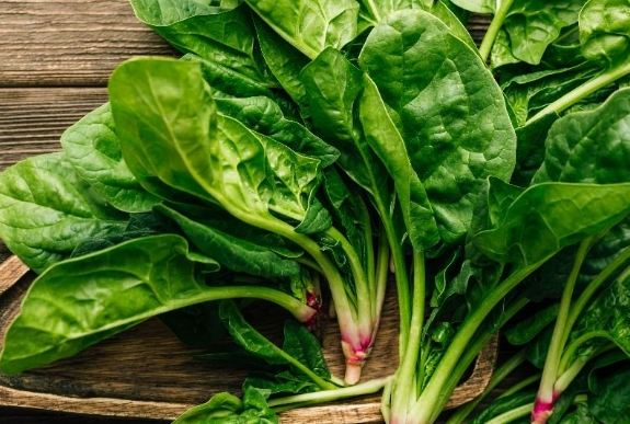 蔬菜草酸含量表