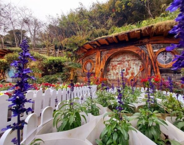 觀霧國家森林遊樂區住宿