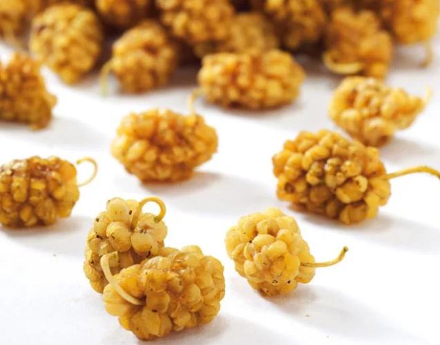 白桑子乾好處 白桑子乾好處