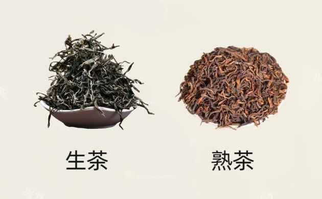 生茶熟茶分別