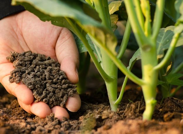 有機肥料使用指南 有機肥料使用指南