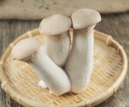 杏鮑菇副作用 杏鮑菇副作用