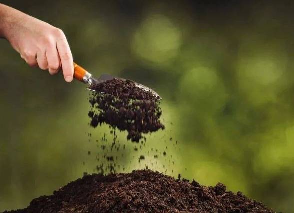 有機肥料使用指南 有機肥料使用指南