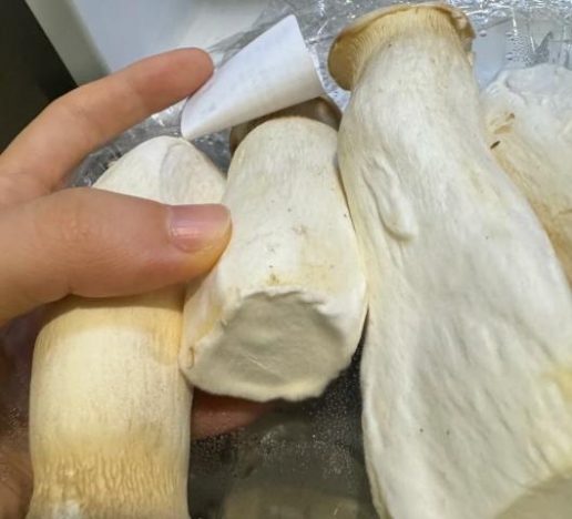 杏鮑菇常溫保存