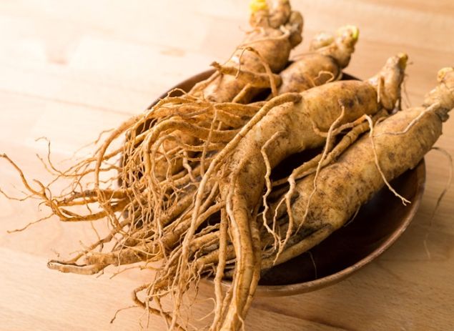 人蔘最佳食用時間 人蔘最佳食用時間