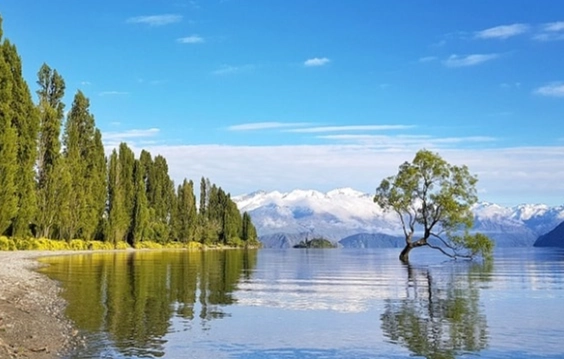 澳洲紐西蘭旅遊比較 澳洲紐西蘭旅遊比較