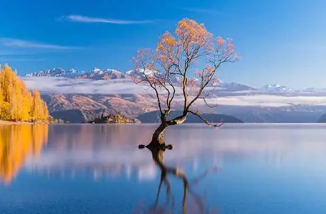 澳洲紐西蘭移民 澳洲紐西蘭移民