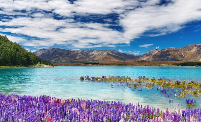 澳洲好玩還是紐西蘭好玩 澳洲好玩還是紐西蘭好玩