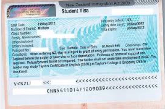 紐西蘭簽證照片要求