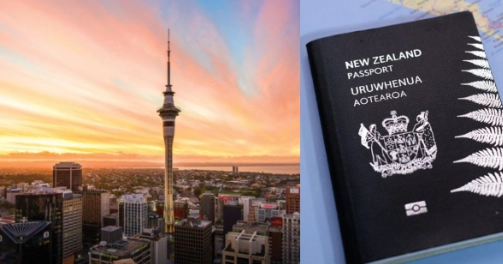 紐西蘭海關規定