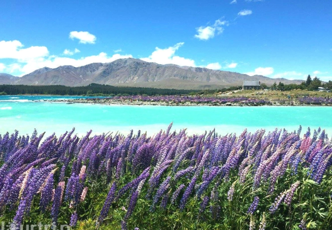 澳洲紐西蘭自由行推薦 澳洲紐西蘭自由行推薦