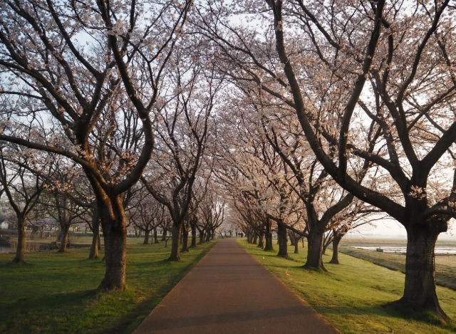 小松觀光景點 小松觀光景點