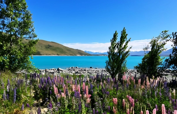 紐西蘭旅行天氣