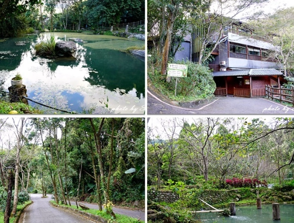 峇里森林溫泉價格 峇里森林溫泉價格