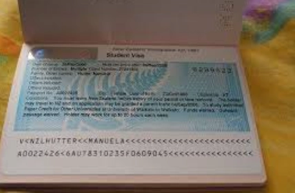 紐西蘭海關規定