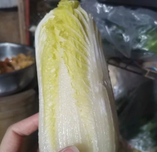 冷凍娃娃菜方法 冷凍娃娃菜方法