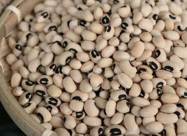 米豆相克 米豆相克