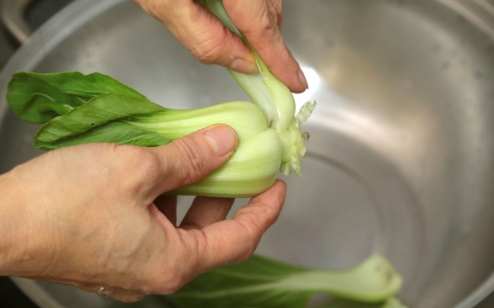 青江菜保存技巧 青江菜保存技巧