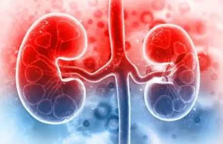 腎臟炎不能吃食物 腎臟炎不能吃食物