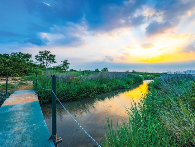 台灣休息好去處終極指南：放鬆身心必訪景點推薦與選擇技巧