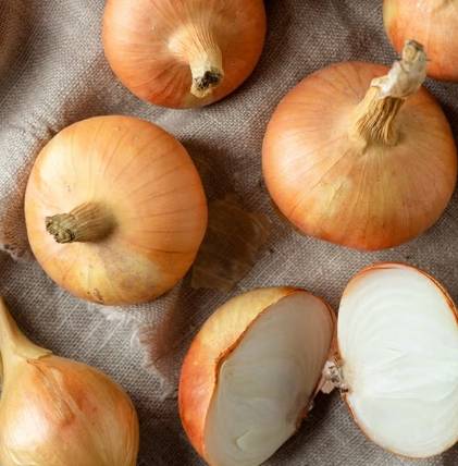 洋蔥保存曬太陽