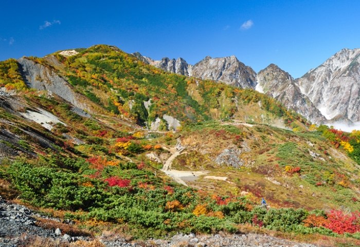 白馬富士山旅遊 白馬富士山旅遊