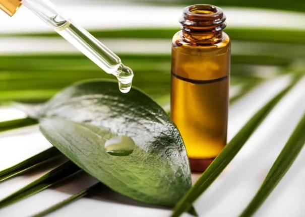 茶樹精油皮膚功效