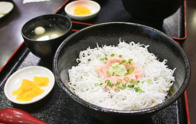 江之島吻仔魚推薦