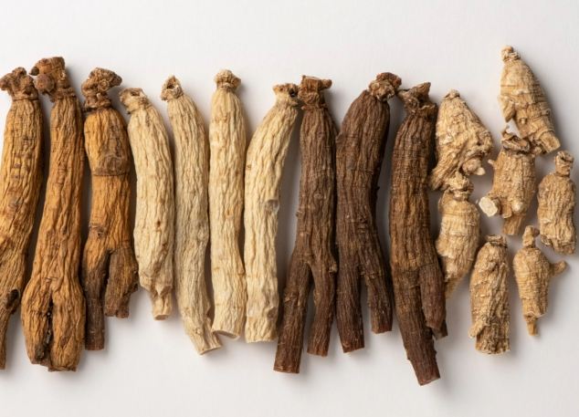 高麗參不良反應 高麗參不良反應