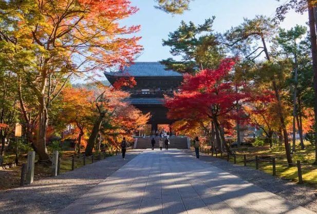 京都楓葉季節 京都楓葉季節