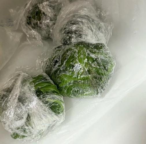 菠菜保存技巧 菠菜保存技巧