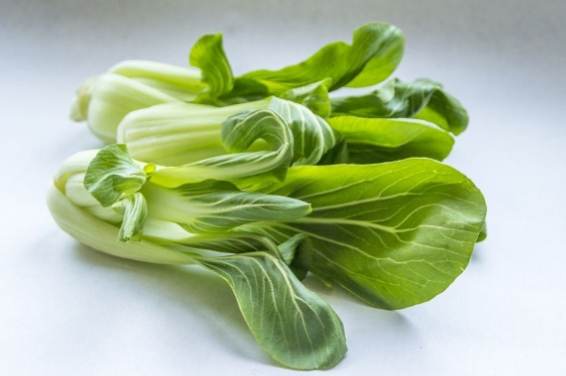 青江菜食用禁忌 青江菜食用禁忌