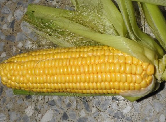 高鉀食物玉米 高鉀食物玉米