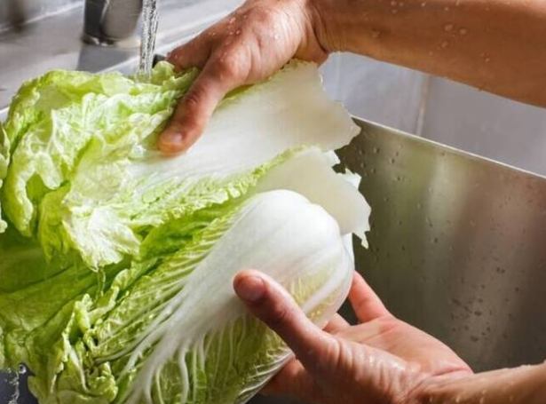 大白菜農藥去除 大白菜農藥去除
