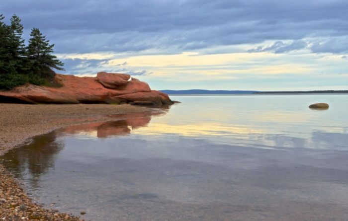 威靈頓旅遊 威靈頓旅遊