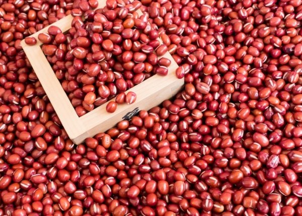 紅豆禁忌 紅豆禁忌