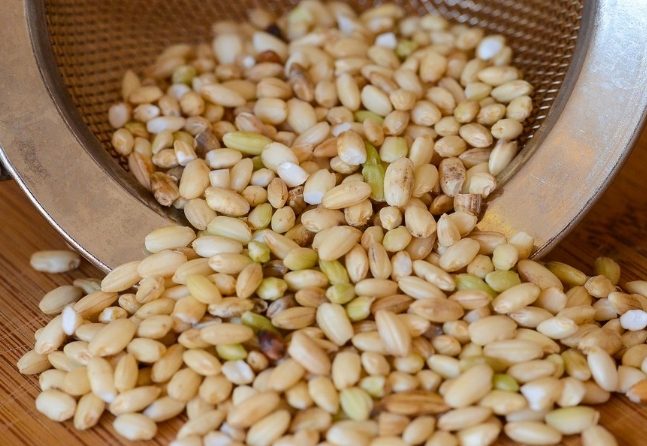 麩質糙米 好處 麩質糙米 好處