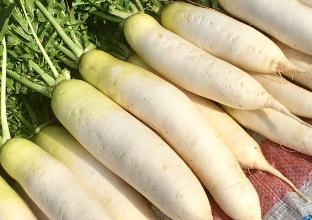 白蘿蔔纖維好處 白蘿蔔纖維好處