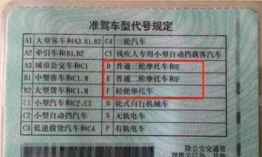 紐西蘭摩托車駕照