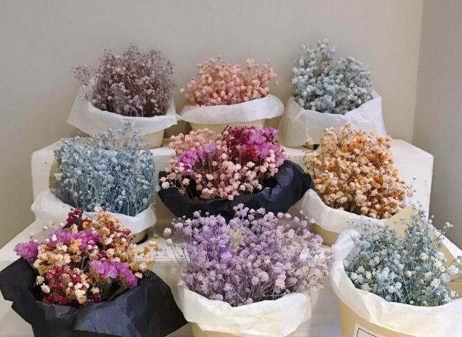 背叛花语 背叛花语