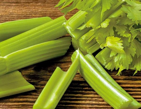 西芹寒性 西芹寒性