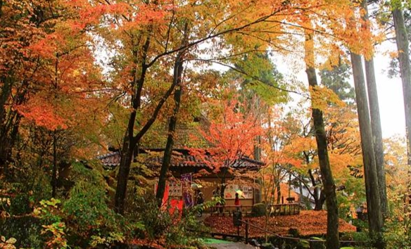 小松機場附近景點