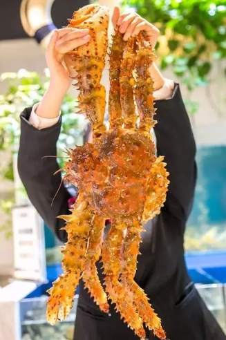 帝王蟹過敏預防