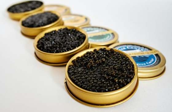 魚子醬選擇 魚子醬選擇