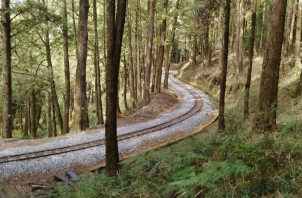 大塔山登山攻略 大塔山登山攻略