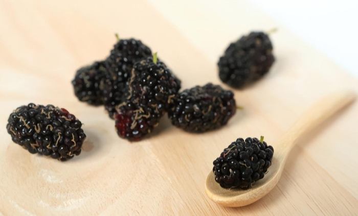 桑葚乾副作用 桑葚乾副作用