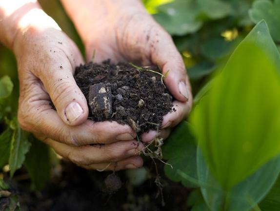 有機肥料缺點 有機肥料缺點