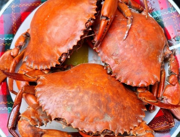 木耳不能和什麼一起吃 木耳不能和什麼一起吃