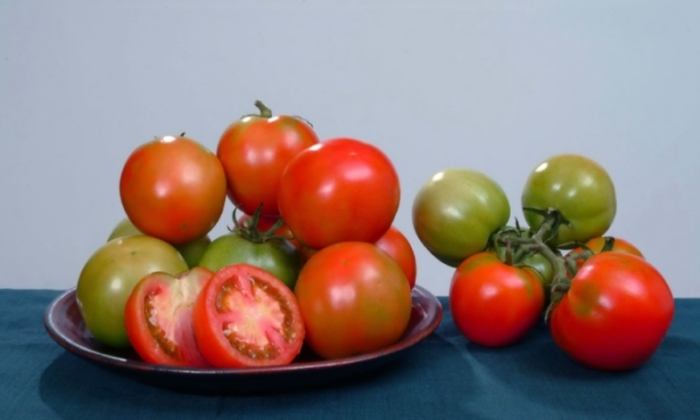 大番茄料理用途 大番茄料理用途